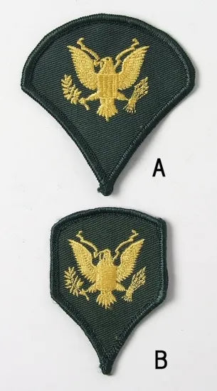 アメリカ陸軍 U.S.ARMY スペシャリストワッペン USED ARMY-EAGLE-U-