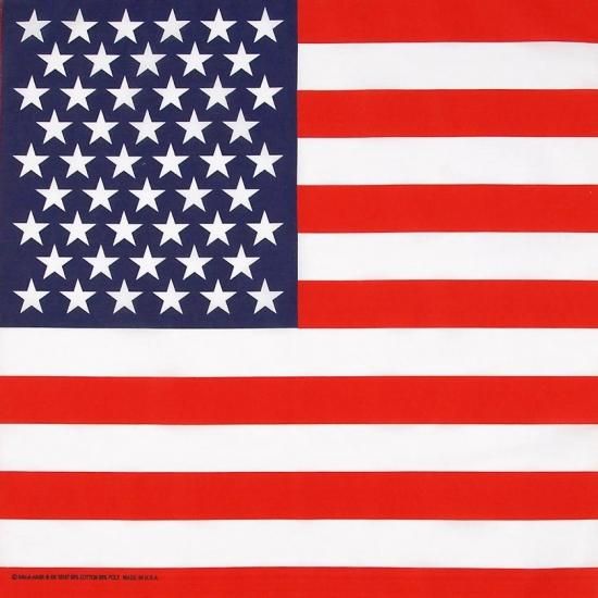 HAV-A-HANK/ハバハンク USA フラッグ バンダナ 新品 201-