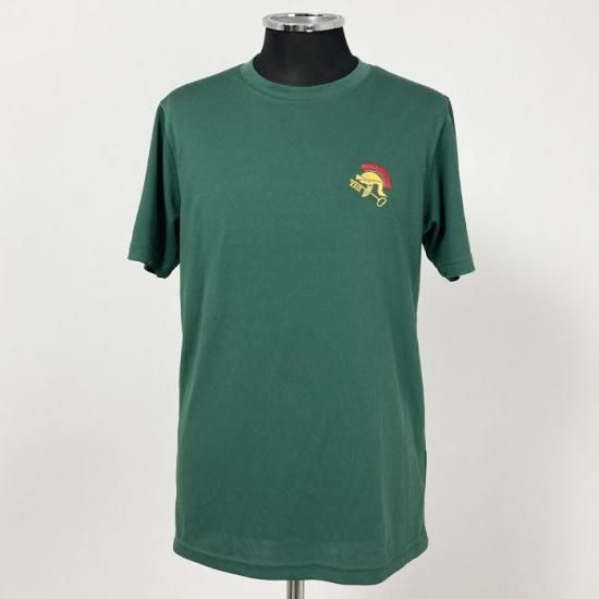 【1点物・5種類】イギリス軍関連 グリーン ドライTシャツ USED T79U-GREEN-