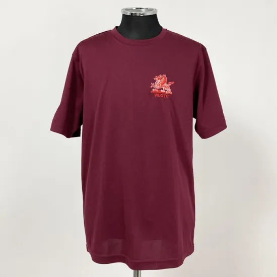 【1点物・5種類】イギリス軍関連 レッド ドライTシャツ USED -