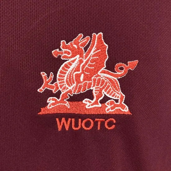 【1点物・5種類】イギリス軍関連 レッド ドライTシャツ USED -