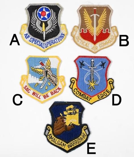 アメリカ軍 カラー パイロットワッペン 新品 1C2-
