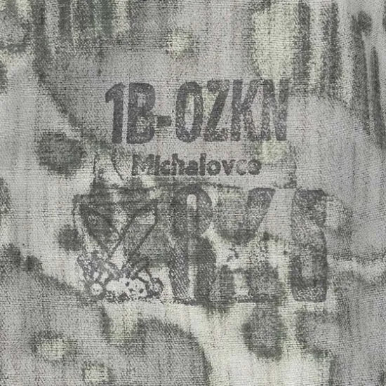 チェコ軍 レインドロップカモ M-60 パーカー フード付 新品 469NH