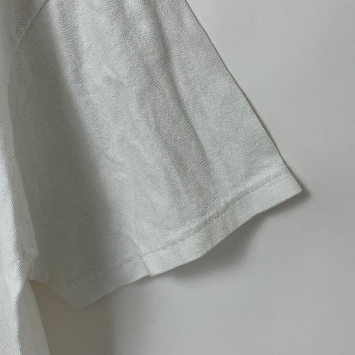 1990-2000s GILDAN/ギルダン RIDE THE WIND ホワイト ヴィンテージ プリントTシャツ Lサイズ【FB-TS-0011B-】