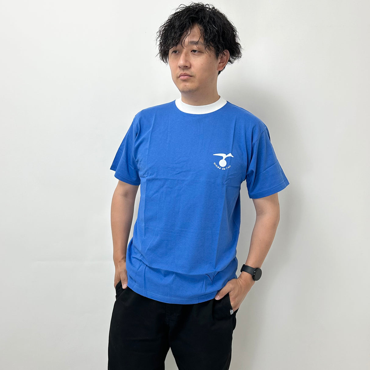 フランス空軍 エアフォース ブルー Tシャツ 新品 T87N-