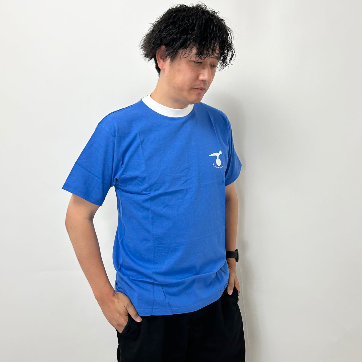 フランス空軍 エアフォース ブルー Tシャツ 新品 T87N-
