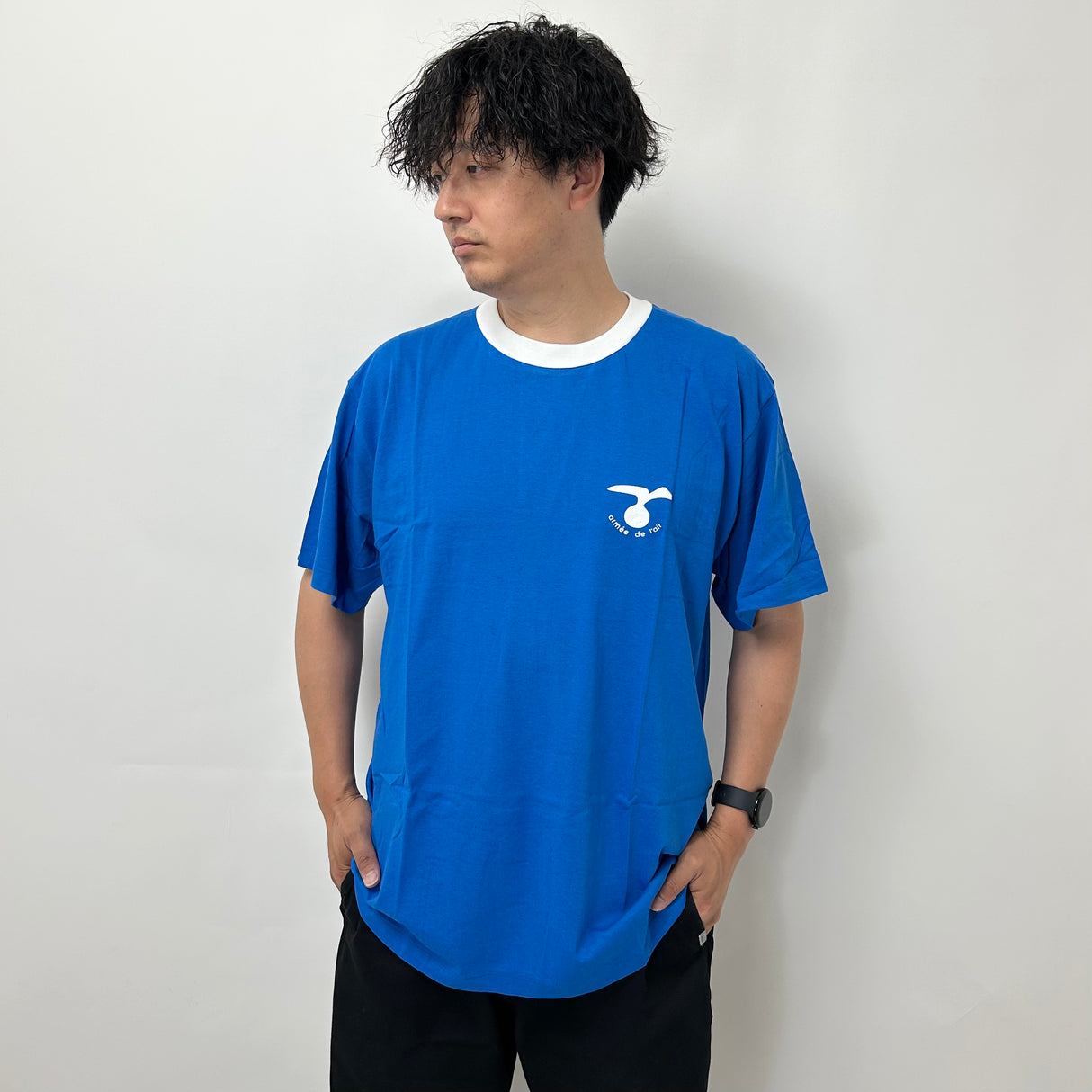 フランス空軍 エアフォース ブルー Tシャツ 新品 T87N-