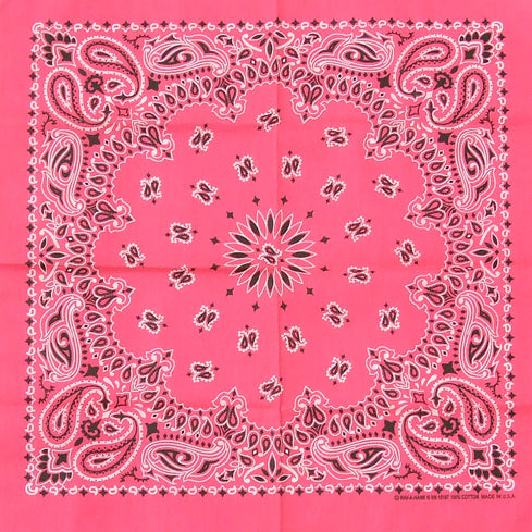 (11/29まで特価)HAV-A-HANK/ハバハンク アメリカ製 オリジナル ペーズリーバンダナ 新品 301-320-