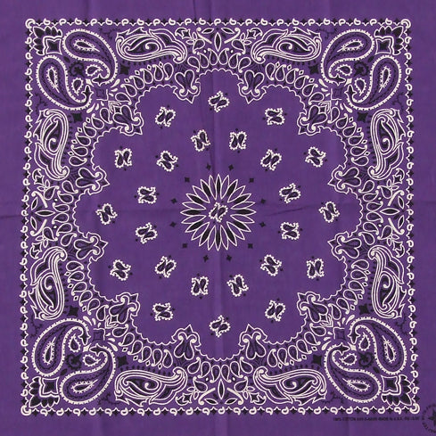 (11/29まで特価)HAV-A-HANK/ハバハンク アメリカ製 オリジナル ペーズリーバンダナ 新品 301-320-