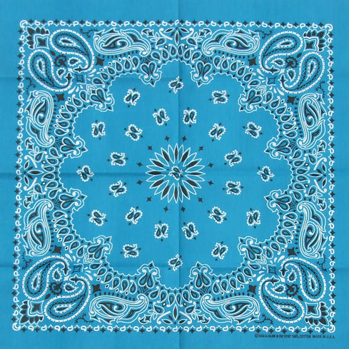 (11/29まで特価)HAV-A-HANK/ハバハンク アメリカ製 オリジナル ペーズリーバンダナ 新品 301-320-