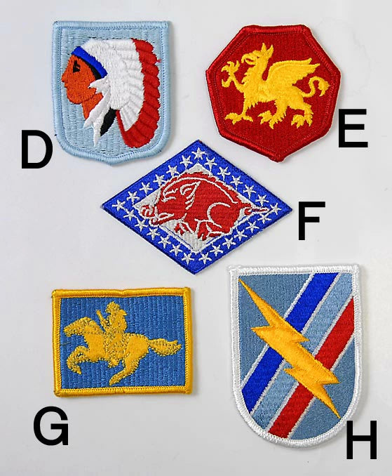 アメリカ軍 ミリタリー カラー 部隊章ワッペン 新品 BRANCH-CN1A-