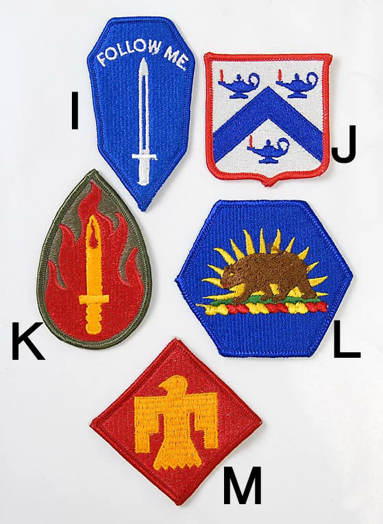 アメリカ軍 ミリタリー カラー 部隊章ワッペン 新品 BRANCH-CN1A-