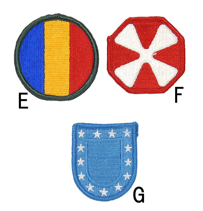 アメリカ軍 ミリタリー カラー部隊章ワッペン 新品 BRANCH-CN3-
