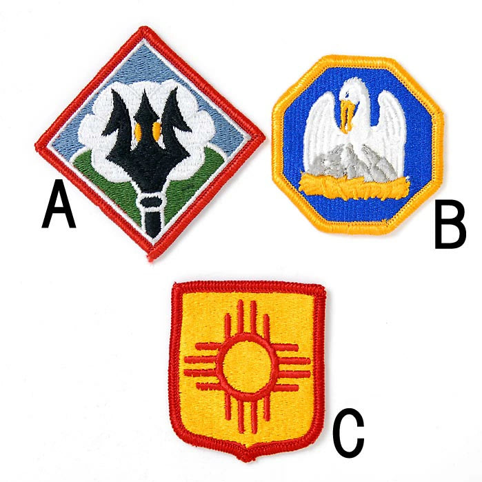 アメリカ軍 ミリタリー カラー部隊章ワッペン 新品 BRANCH-CN5A-