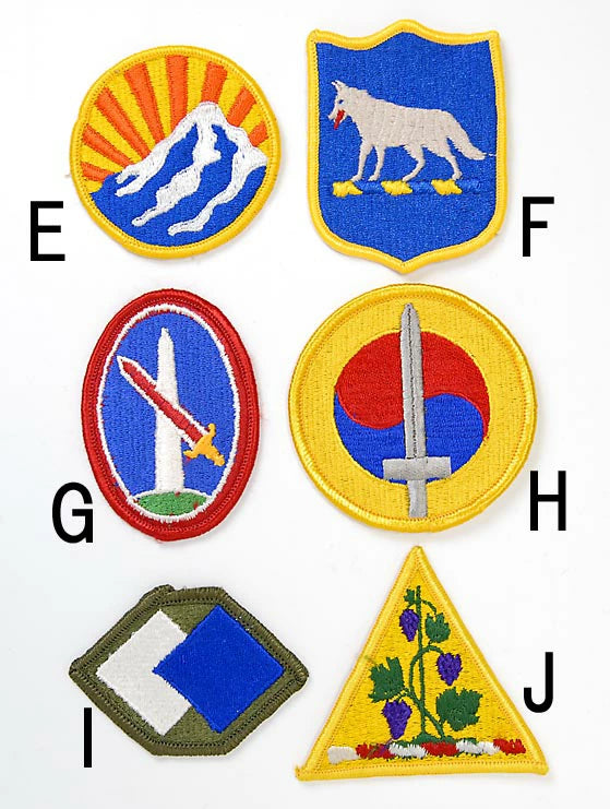 アメリカ軍 ミリタリー カラー部隊章ワッペン 新品 BRANCH-CN5-