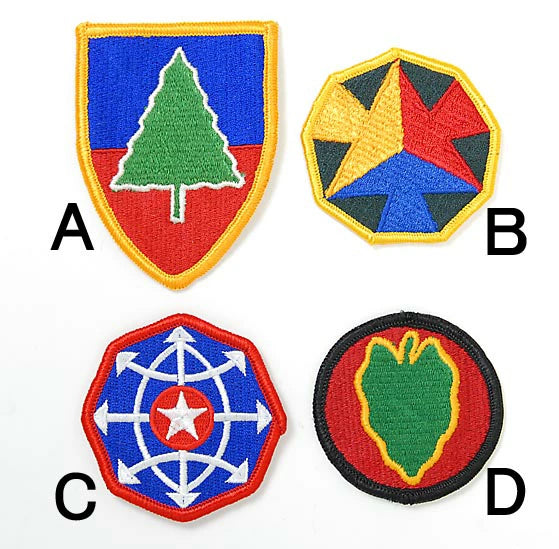 アメリカ軍 ミリタリー カラー部隊章ワッペン 新品 BRANCH-CN6-