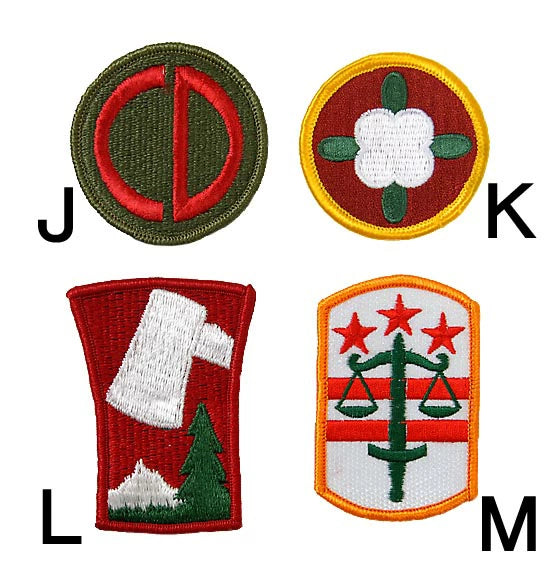 アメリカ軍 ミリタリー カラー部隊章ワッペン 新品 BRANCH-CN6-