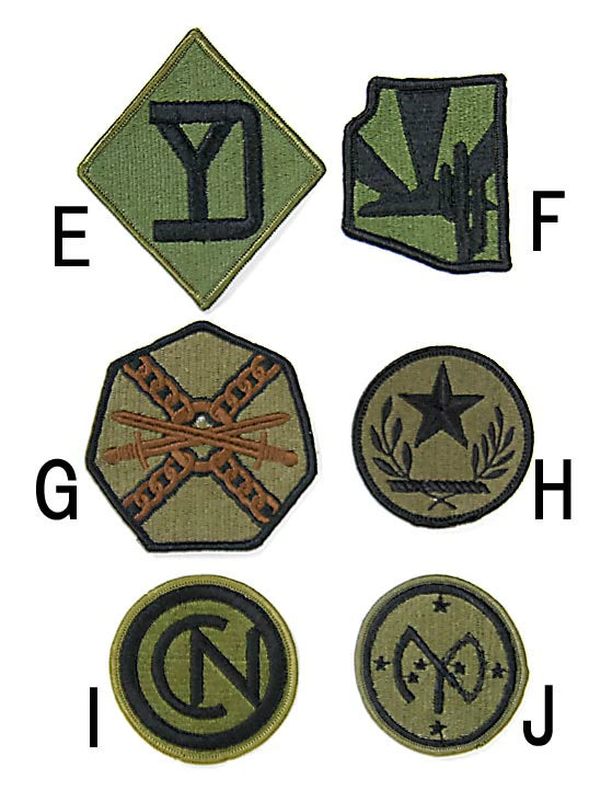 アメリカ軍 ミリタリー OD 部隊章ワッペン 新品 BRANCH-GN5-