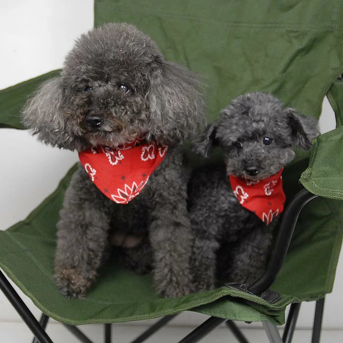 (11/29まで特価)HAV-A-HANK/ハバハンク アメリカ製 オリジナル ペーズリーバンダナ 新品 301-320-