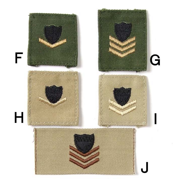 アメリカ軍 ミリタリー襟章ワッペン 新品 RANK-GN-S-