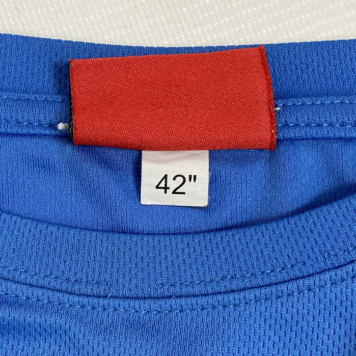 ロイヤル・スコットランド連隊 ライトブルー ドライTシャツ USED T79U-LB-