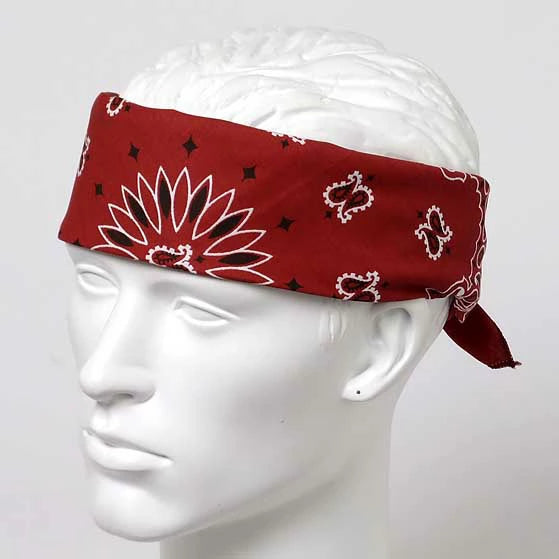 (6/21まで特価)HAV-A-HANK/ハバハンク アメリカ製 オリジナル ペーズリーバンダナ 新品 -