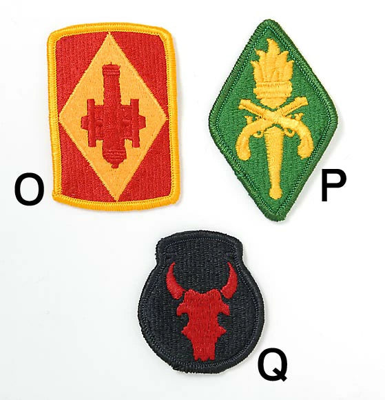 アメリカ軍 ミリタリー カラー部隊章ワッペン 新品 BRANCH-CN3A-