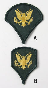 アメリカ陸軍 U.S.ARMY スペシャリストワッペン 新品 ARMY-EAGLE-N-